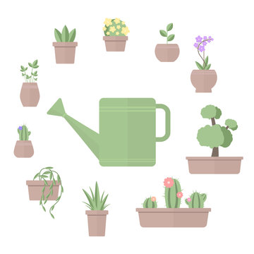 Vector illustration of plants in pots and watering can