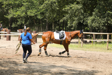 cheval