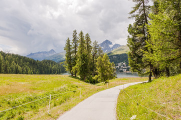 Fototapeta premium St. Moritz, St. Moritzersee, Stazerwald, Oberengadin, Alpen, Piz Nair, Piz Julier, Wanderweg, Lärche, Graubünden, Sommer, Schweiz