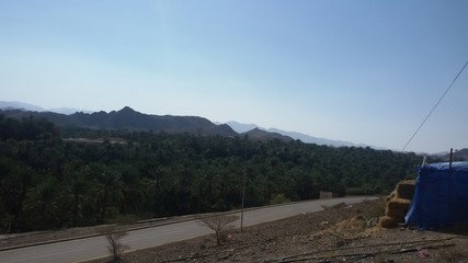  view from the road. Dates tree and mountain