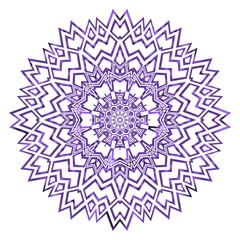 Vector mandala. Flower modern design. Vector illustration.