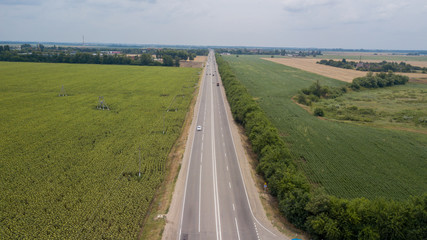 Aerial top view of summer green trees, river, roads in forest background. Drone photography. Coniferous and deciduous trees, forest road. Beautiful panoramic photo over the tops of pine forest.
