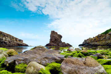 Fototapety na wymiar - Fototapeta24.pl