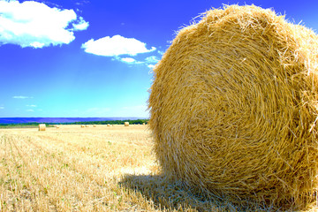 haystack in the field after harvesting wheat in the high season with a hot summer
