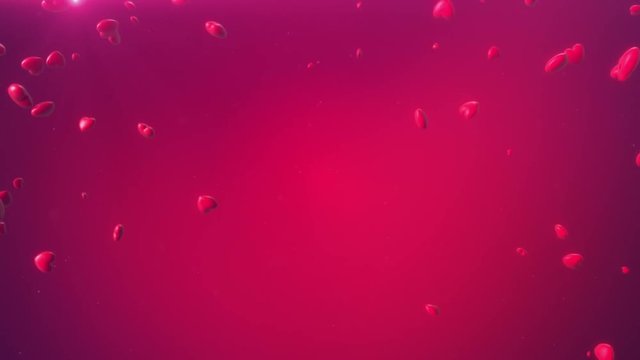 Heart Symbol 3d Animation