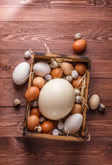 Eggs from different birds, place for wording