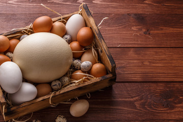 Different size eggs on a straw in a box, place for wording