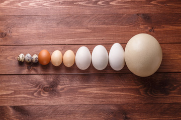 Egg of different birds on a farm