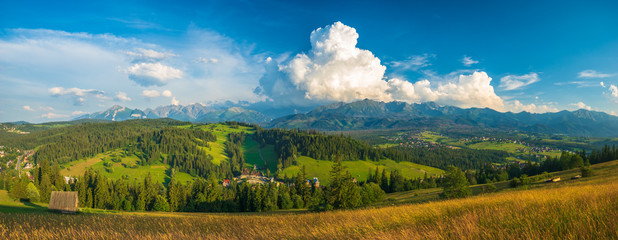 Naklejka premium Panorama of the Tatra Mountains in Poland, mountain meadow.