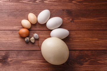 Quail eggs, hen eggs, goose eggs, ostricg egg