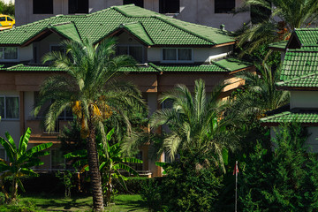 Fototapeta na wymiar modern contemporary yellow and green building. hotel with lots of balconies and windows. different tropical plants are around the constuction
