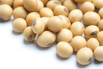 soy beans- close up on white