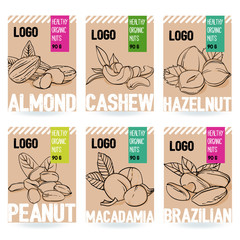 Beautiful vector hand drawn organic nut card set. Almond, cashew, hazelnut, peanut, macadamia, brazilian nut. Template elements collection for packaging design. Modern illustrations isolated.