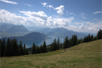 Vierwaldstättersee von der Rigi aus