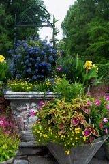 Potted Plants