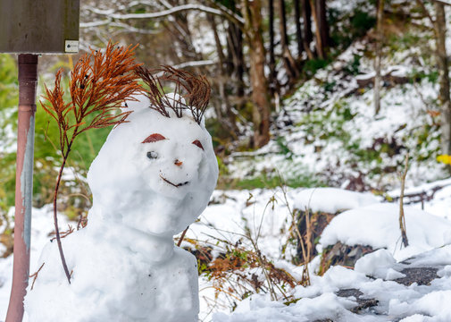 Hand made snowman, built with leaf and branch, at outdoor snow field in early winter season in Japan