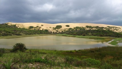 Fototapeta na wymiar Island lake and dunes 2
