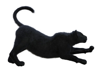 3D Rendering Black Panther on White