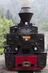 Obraz premium Locomotive Front