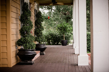 Large front porch with greenery. 