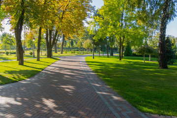 A wide alley in the park is paved with tiles with green lawns and trees with yellowing foliage on a bright sunny afternoon.