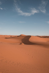 Fototapeta na wymiar Sahara sand dune 1