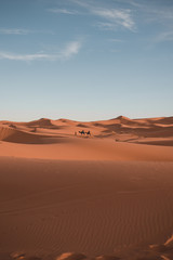 Fototapeta na wymiar Sahara sand dune 4