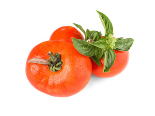 tomates bio du potager avec basilic isolé sur fond blanc
