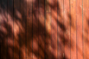 abstract background textuer of shadows leaf on a wooden wall