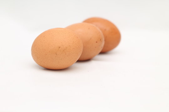 photos of chicken eggs