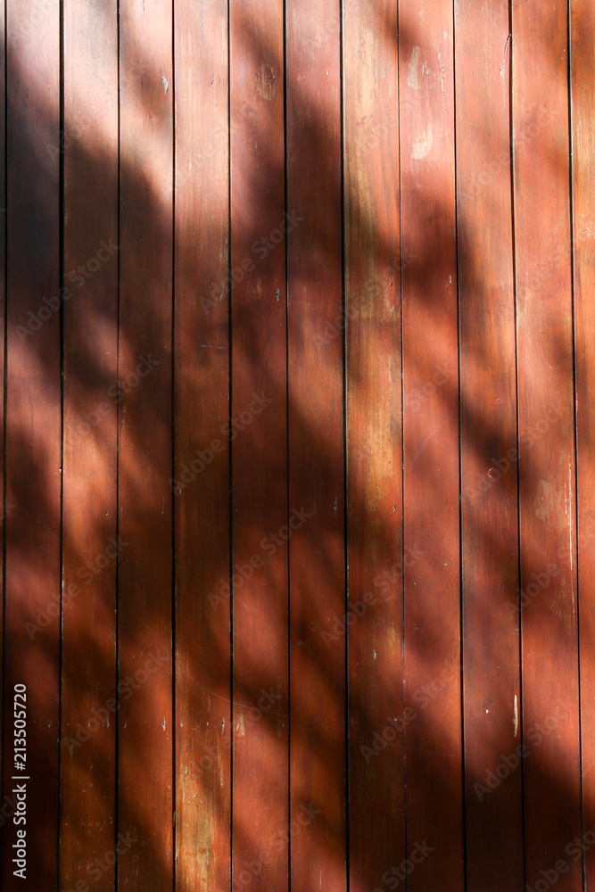 Wall mural abstract background textuer of shadows leaf on a wooden wall