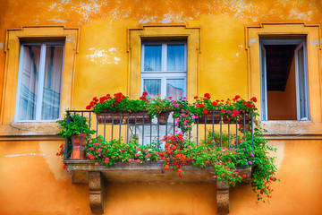 Fototapeta na wymiar Window in Rome