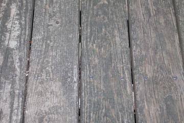 Fototapeta premium Wood texture
