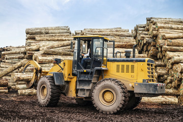 Fototapeta na wymiar Forklift truck grabs wood in a wood processing plant 