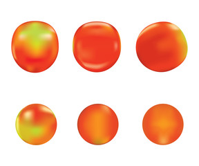 tomatoes set vector and illustration