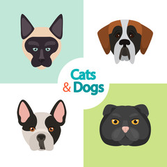 Different cats and dogs breeds muzzles color vector icons set. Flat design