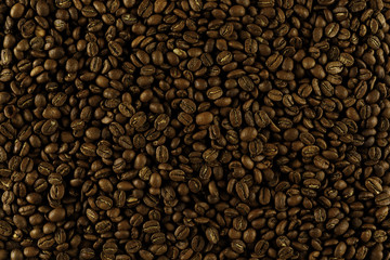 Coffee beans laid out for texture.