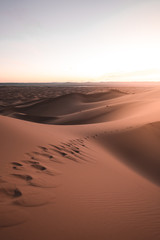 Footsteps in the Sahara desert sand