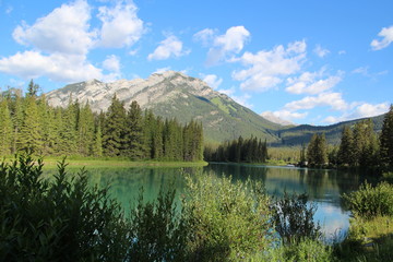 Summer On The Bow River, Banff National Park, Alberta