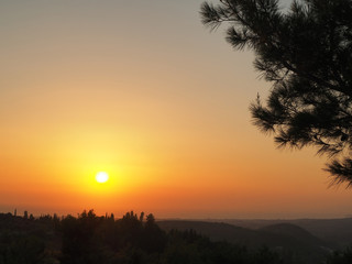 sunset view from inside the forest in turkey kusadası