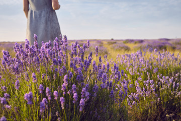 Cropped shot of unecognizable woman in dress standing in the middle of summer meadow among...
