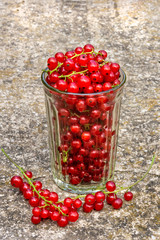 Harvesting. A glass of currant. Sale of fruits and berries.