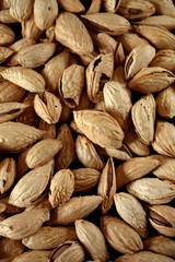 Close-up of unpeeled almond nuts