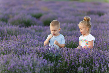 Playful little cute couple boy girl walk on purple lavender flower meadow field background, have fun, play, enjoy good sunny day. Excited small kids. Family day, children, childhood lifestyle concept.