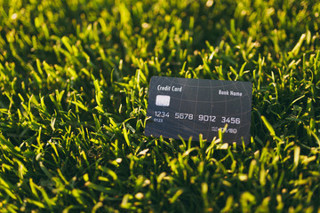 Close up credit bank black card on vibrant spring green fresh golf grass, sunshine lawn. Nature texture, green background for wallpaper. Soft focus. Field or finance concept design. Copy space.