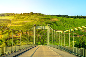 Weinanbau Deutschland Mosel