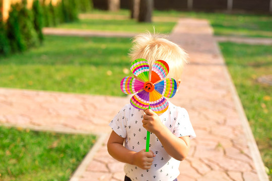 A small blonde boy lies in a hammock. cute boy is walking on a summer day