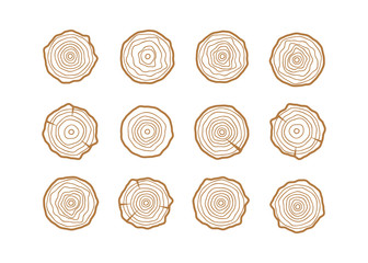 Tree rings background. Abstract age annual circle tree vector