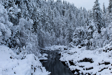 Snowy River