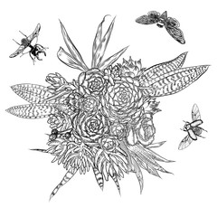 Obraz premium Exotic bouquet set with insects and bugs flying. Flowers. Floral collection with various plants. Sansevieria, snake plant, Red ginger, ostrich plume, pink cone, daisy, roses. Hand drawn. Vector.